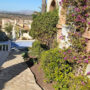 Poda de plantas en vivienda particular en Gran Alacant.