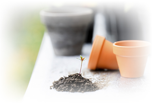 Servicio de jardinería.