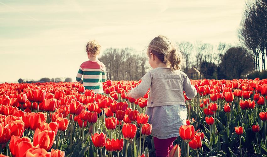 Vista de unos niños entre plantas venenosas