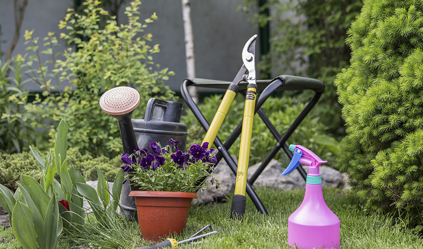 Vista de nuestras herramientas de jardinería