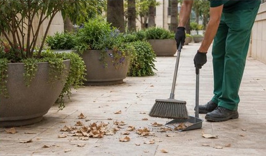Limpieza de hojas secas alrededor de jardineras comunitarias