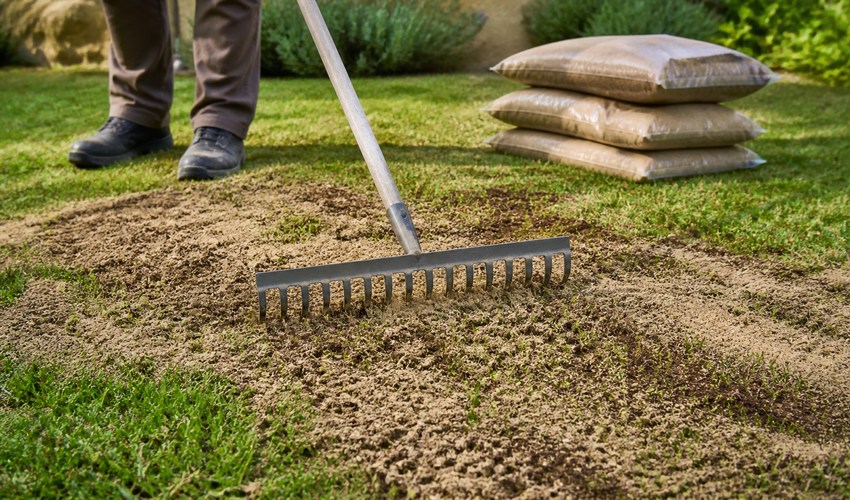 Recebo de césped después de airear recebo de césped con arena y compost